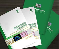 广州市合辉纸品 专业彩印与纸制品综合服务指南
